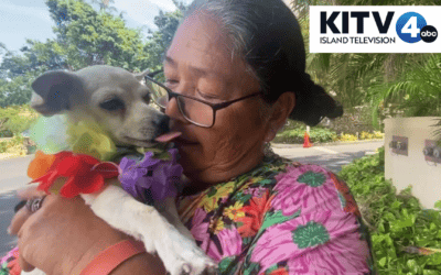 Lucky the dog reunites with family nearly a month after Lahaina fires