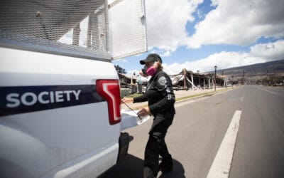 Media Statement: Soiltac® Application in Lahaina