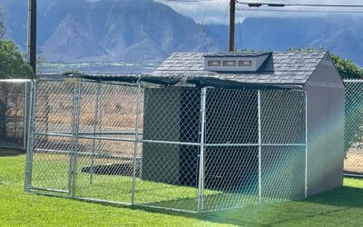 Maui Humane Society Partners with Renowned Shelter Medicine Experts to Expedite Cat Rescue Efforts