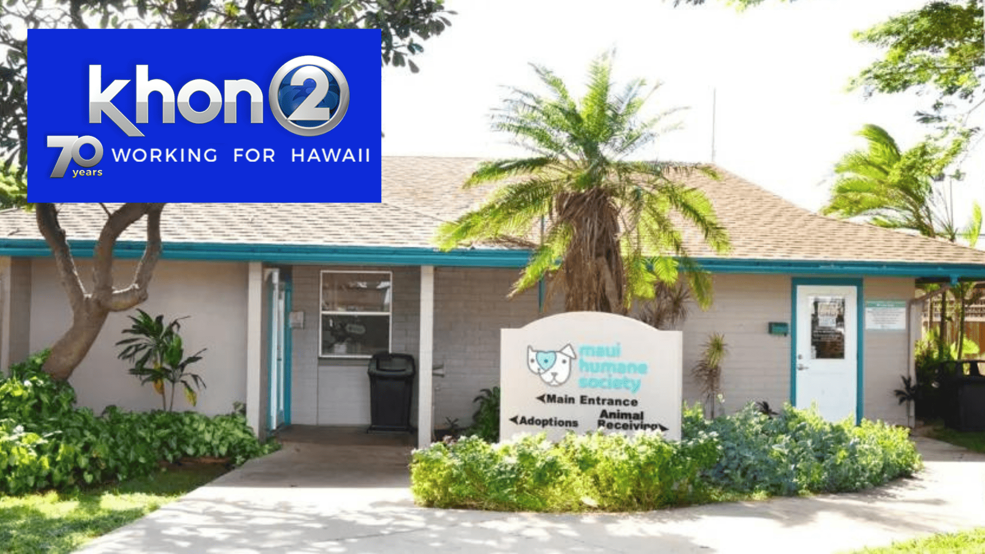 Rudy has been rescued!