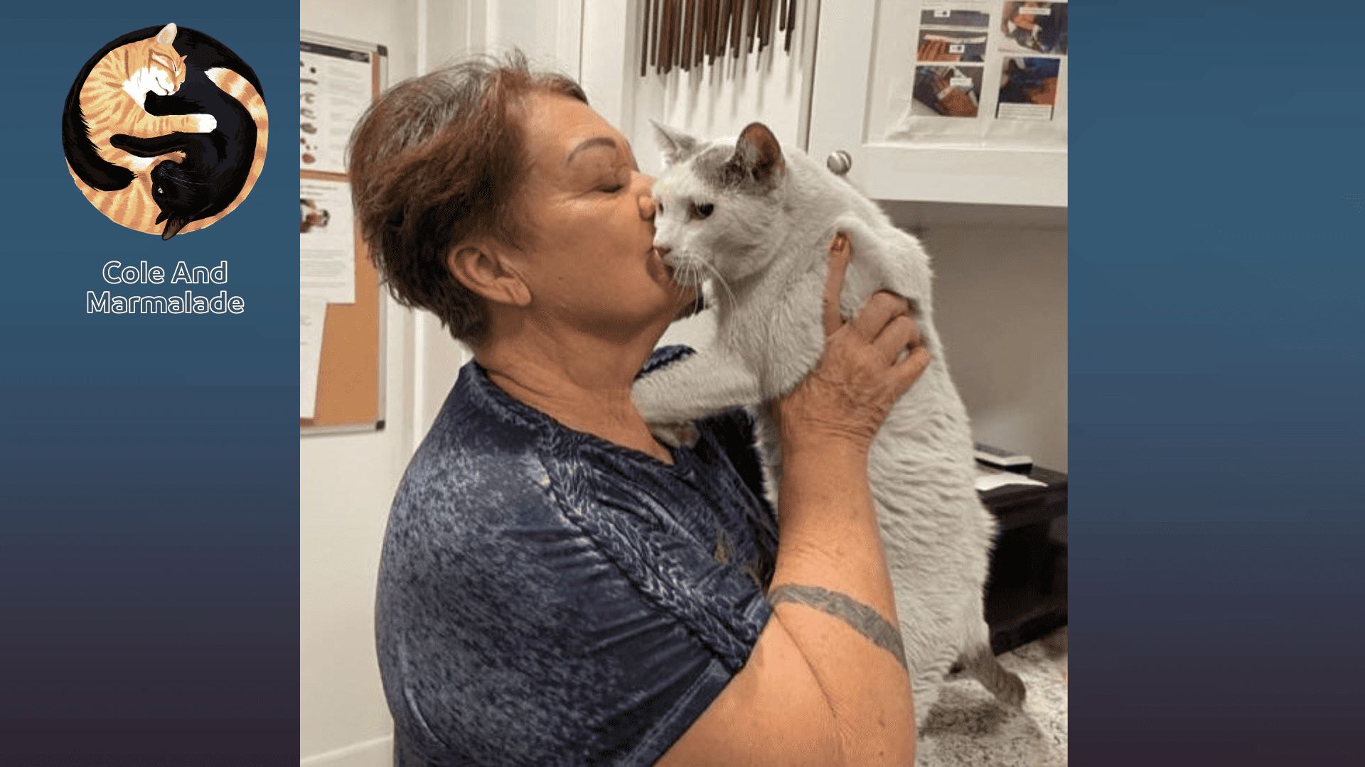 Two Cats Missing for Weeks After Lahaina Fires Found Alive in Home Ruins