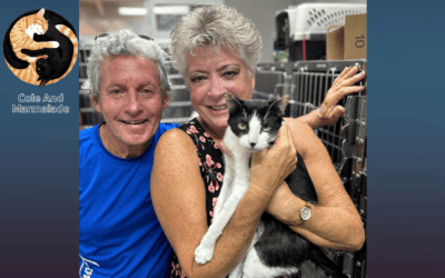 Family Separated From 13 Cats in Maui Fires Reunited With a Piece of Their Hearts Named Rudy