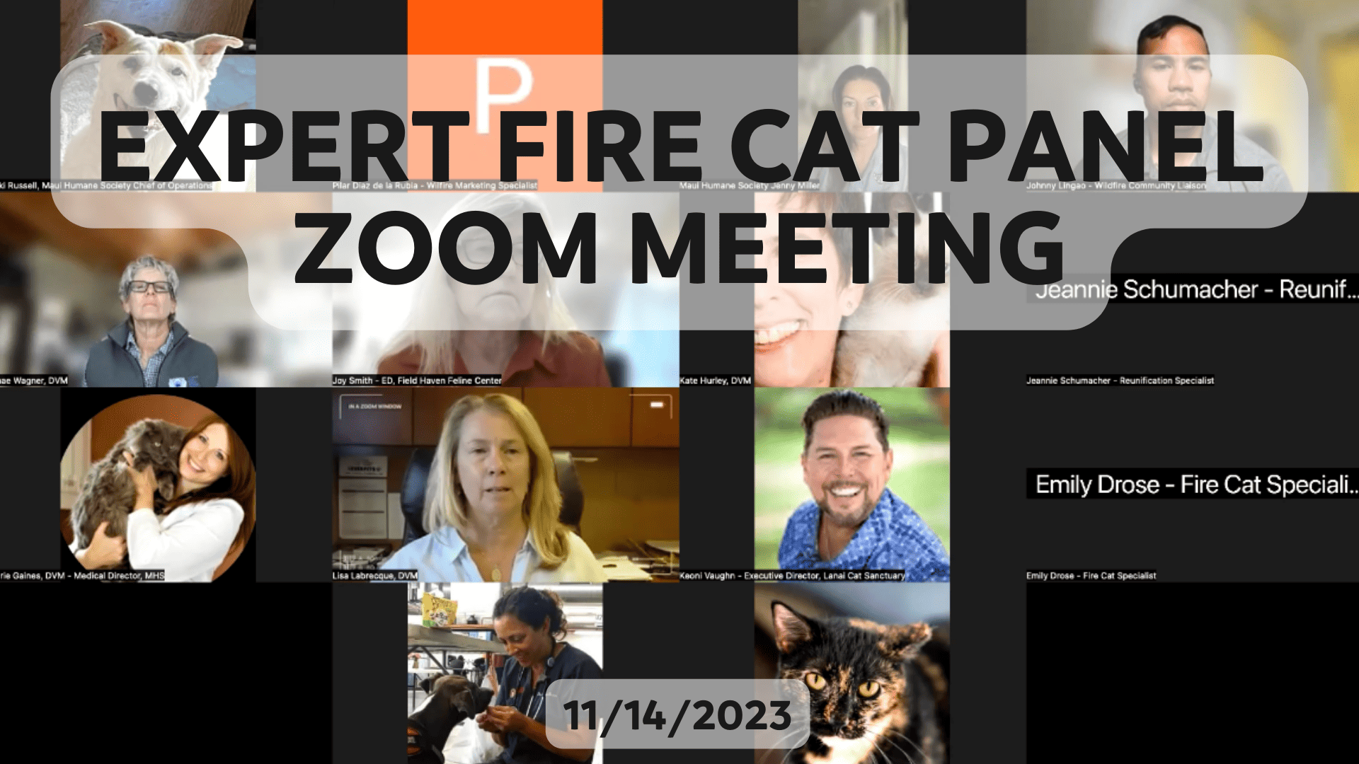 expert fire cat panel zoom meeting 11/14/23