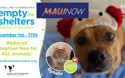 ‘Empty the Shelters – Holiday Hope’ event launches in December