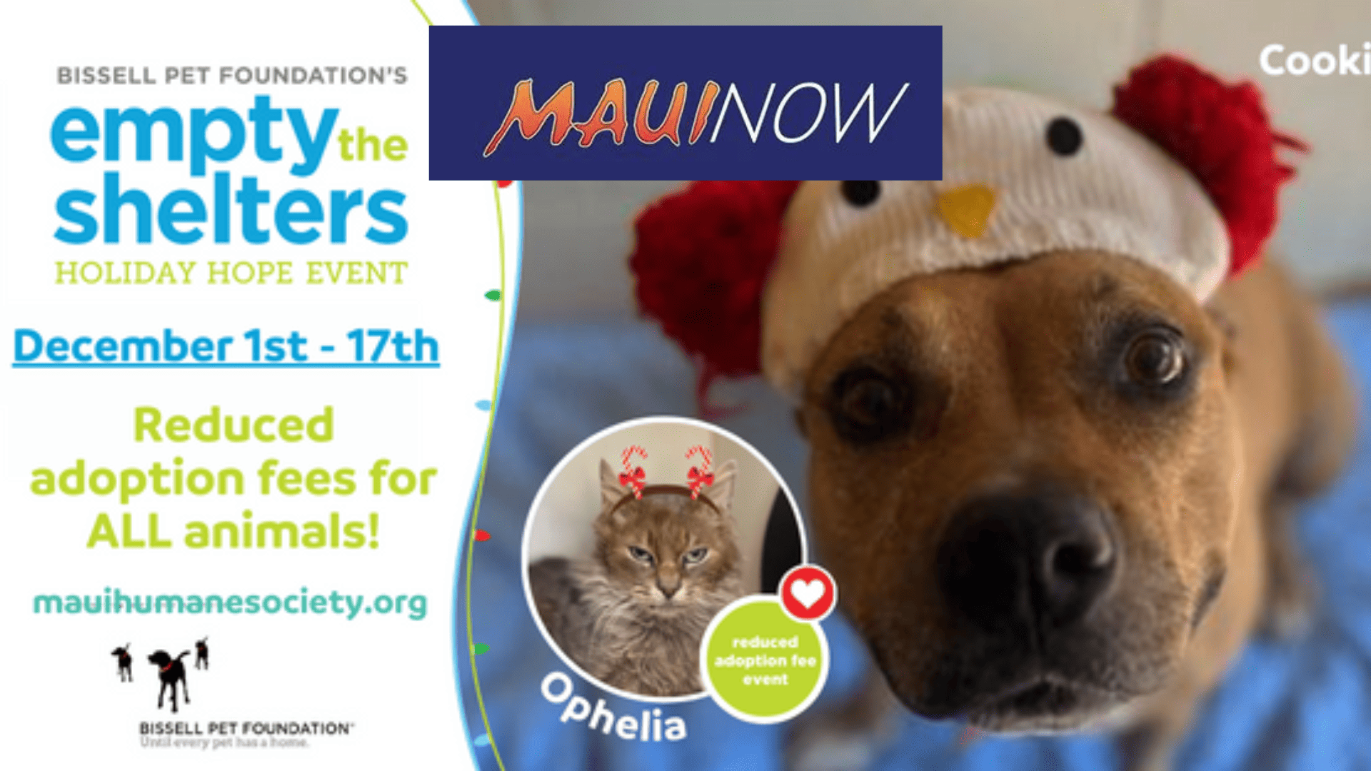 ‘Empty the Shelters – Holiday Hope’ event launches in December