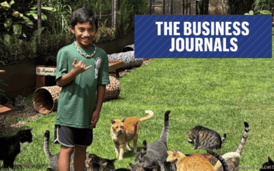 Lanai Cat Sanctuary and Maui Humane Society partner to house Lahaina cats