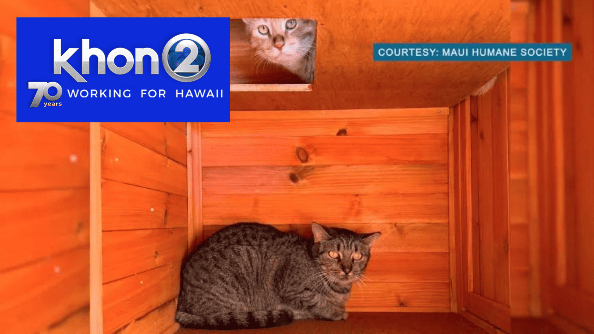 first OFCPP adopted khon2