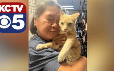 Cat missing for nearly 3 years finds owner again thanks to animal rescue team