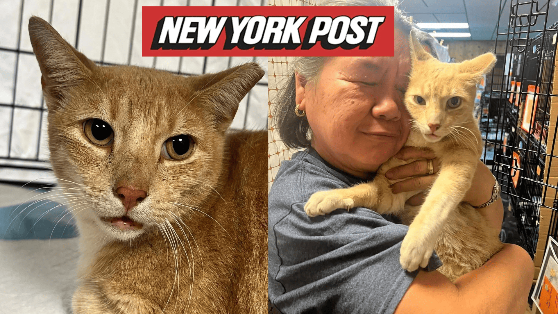 NY post Hyssy & Anna