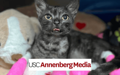 Maui continues to seek support months after Lahaina fires