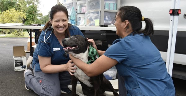 Hana mobile clinic evet