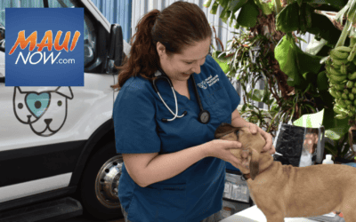 Maui Humane Society opens new Lahaina Pet Resource Center for fire survivors