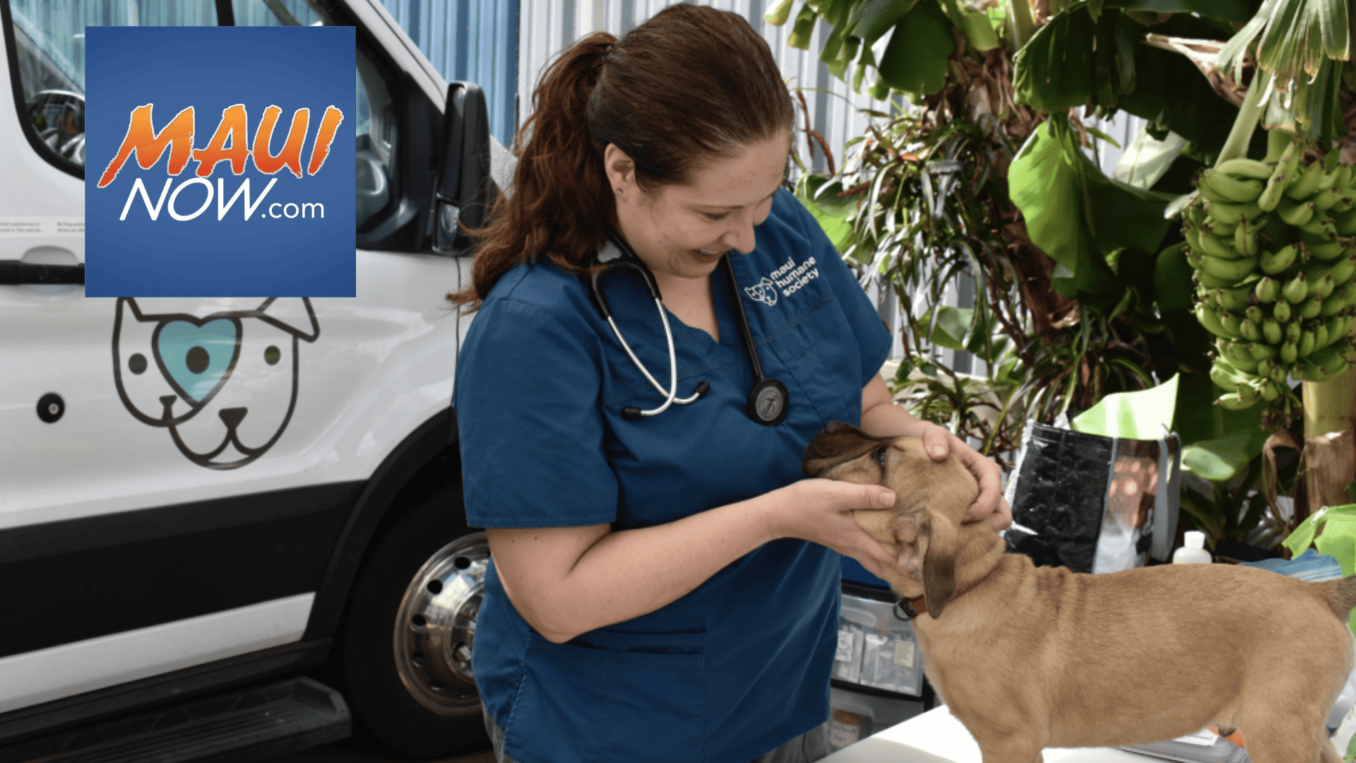 Maui Humane Society opens new Lahaina Pet Resource Center for fire survivors