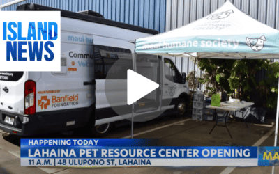 Maui Humane Society unveils Lahaina pet resource center