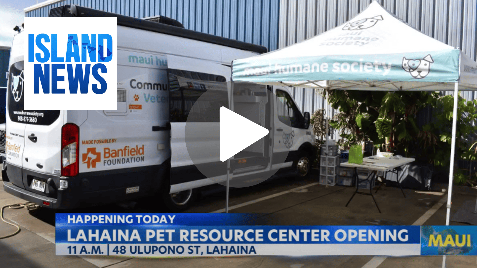 Island news Maui Humane Society unveils Lahaina pet resource center