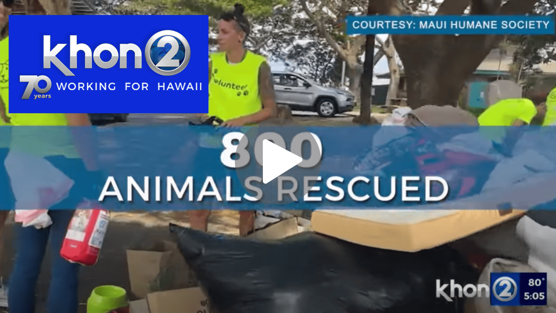 Support continues for the four-legged victims of the Maui wildfire - KHON2