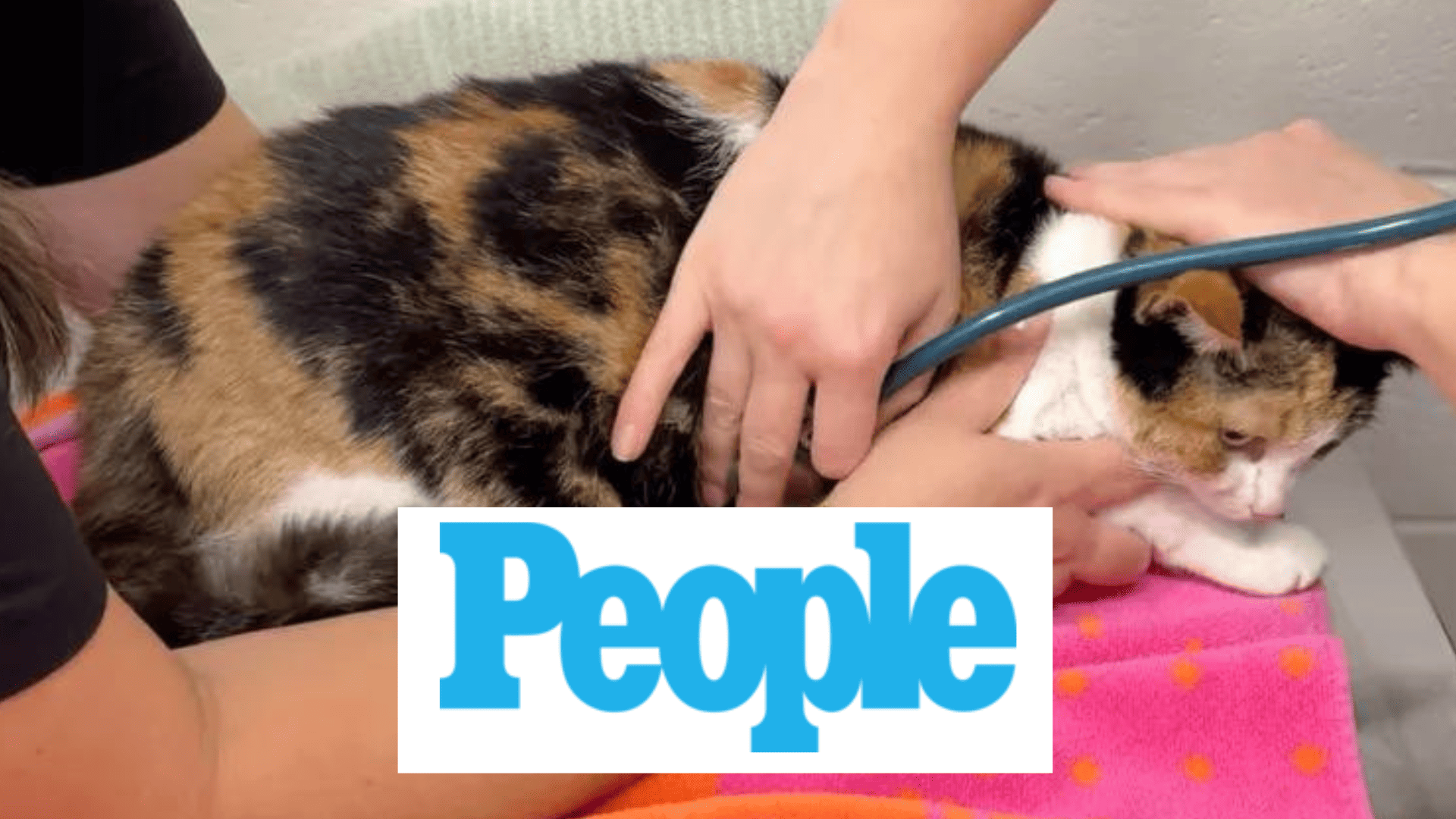 Mahina's story: People