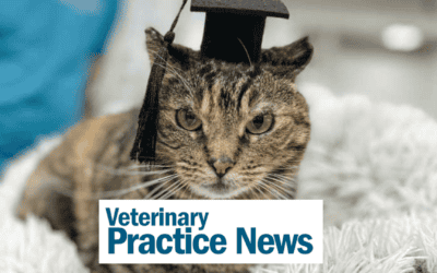 Wildfire disasters highlight the importance of burn injury care in companion animals