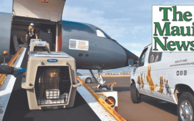 MHS transports 50 cats to Silicon Valley