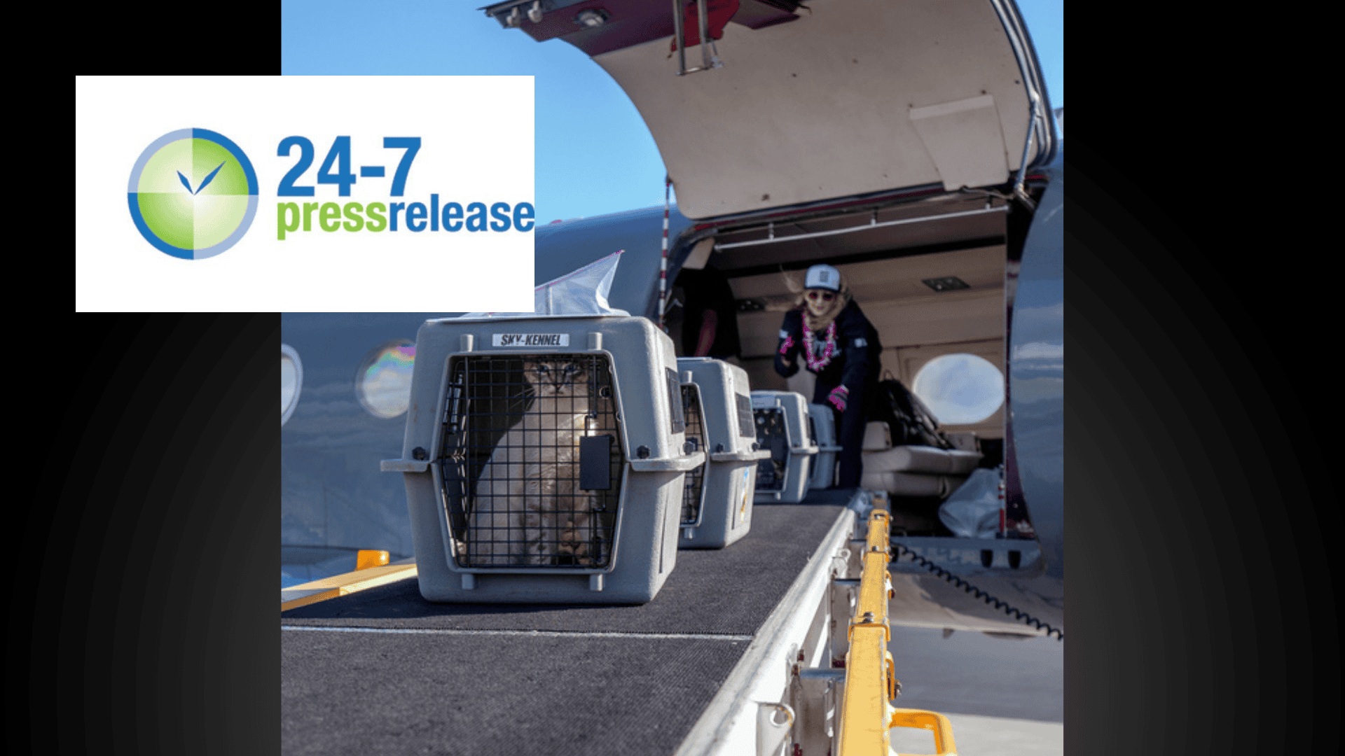 24/7 press release: Silicon Valley cat transfer