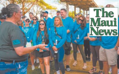 More than 400 good packs distributed to displaced West Maui residents by a collaboration of 3 local organizations