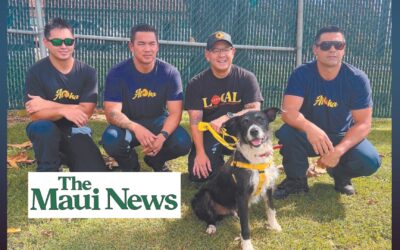 Maui Humane Society partners with Maui Firefighters for 2025 calendar