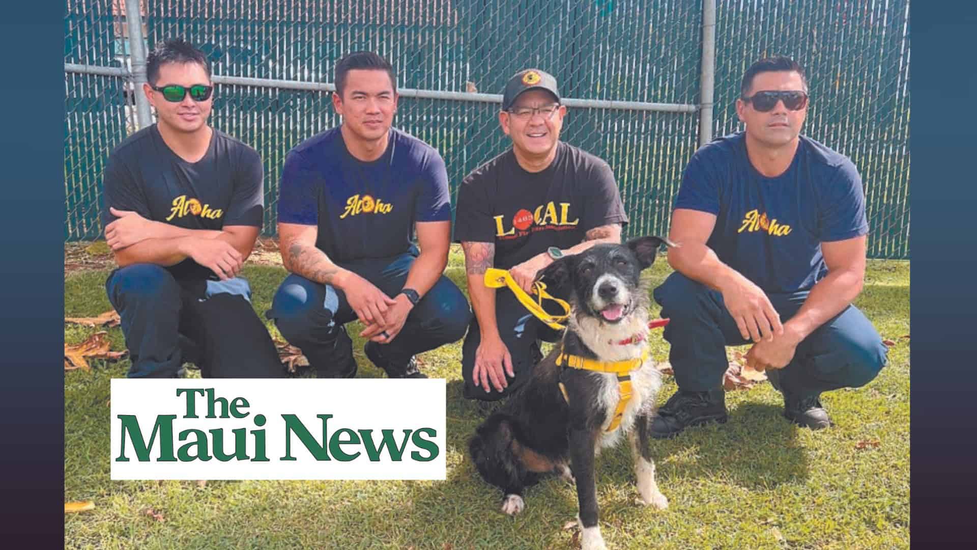 Maui News 2025 calendar