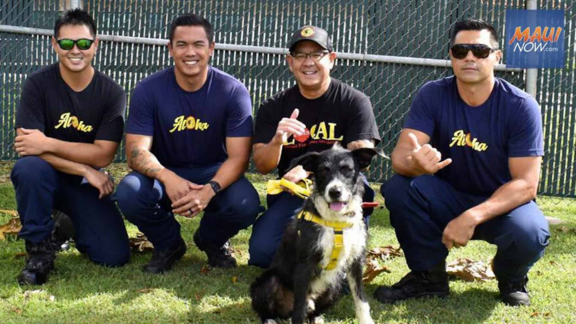 maui now 2025 calendar contest