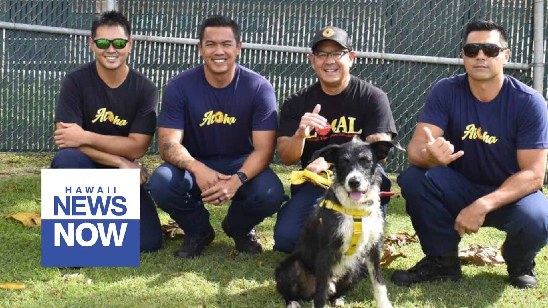 hawaii news now 2025 calendar