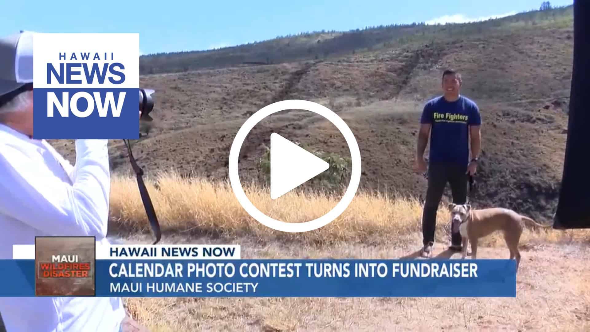 hawaii news now 2025 calendar contest