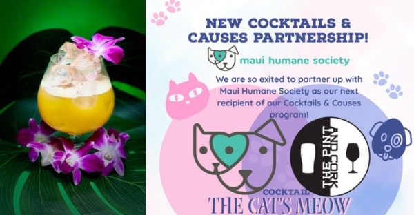Pint & Cork Cats Meow Pint & Cork Cats Meow