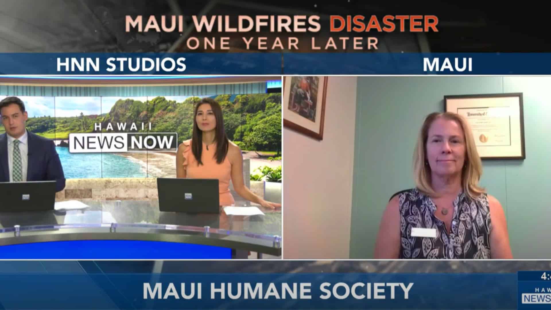 hawaii news now, 1 year later