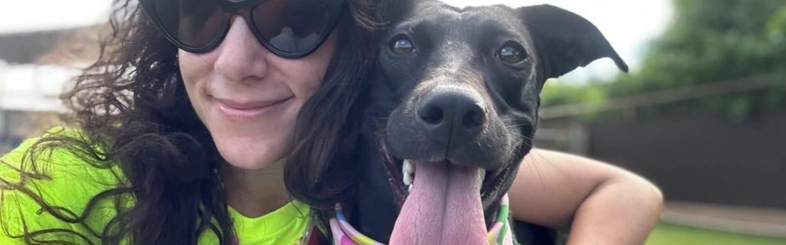 Volunteer page header