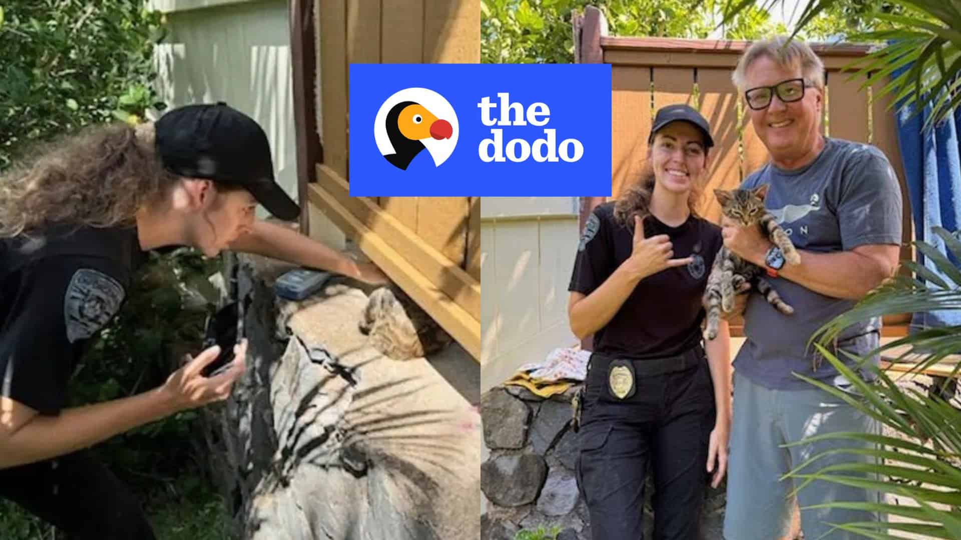 the dodo kaity story