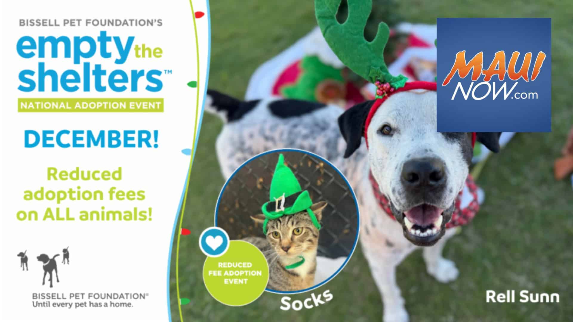 ETS DEC 2024 maui now