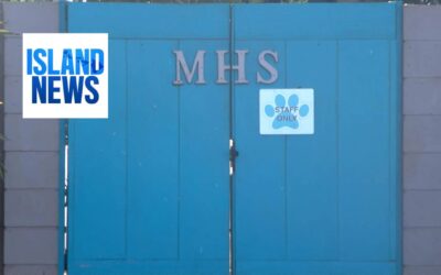 Maui Humane Society calls for more fosters as it reaches capacity, expects holiday intake surge