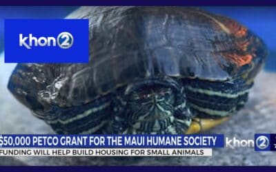 Petco Love invests $50,000 into Maui Humane Society to improve care for small animals