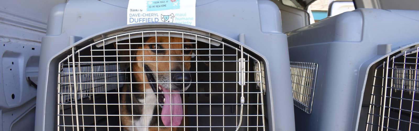 Volunteer page header