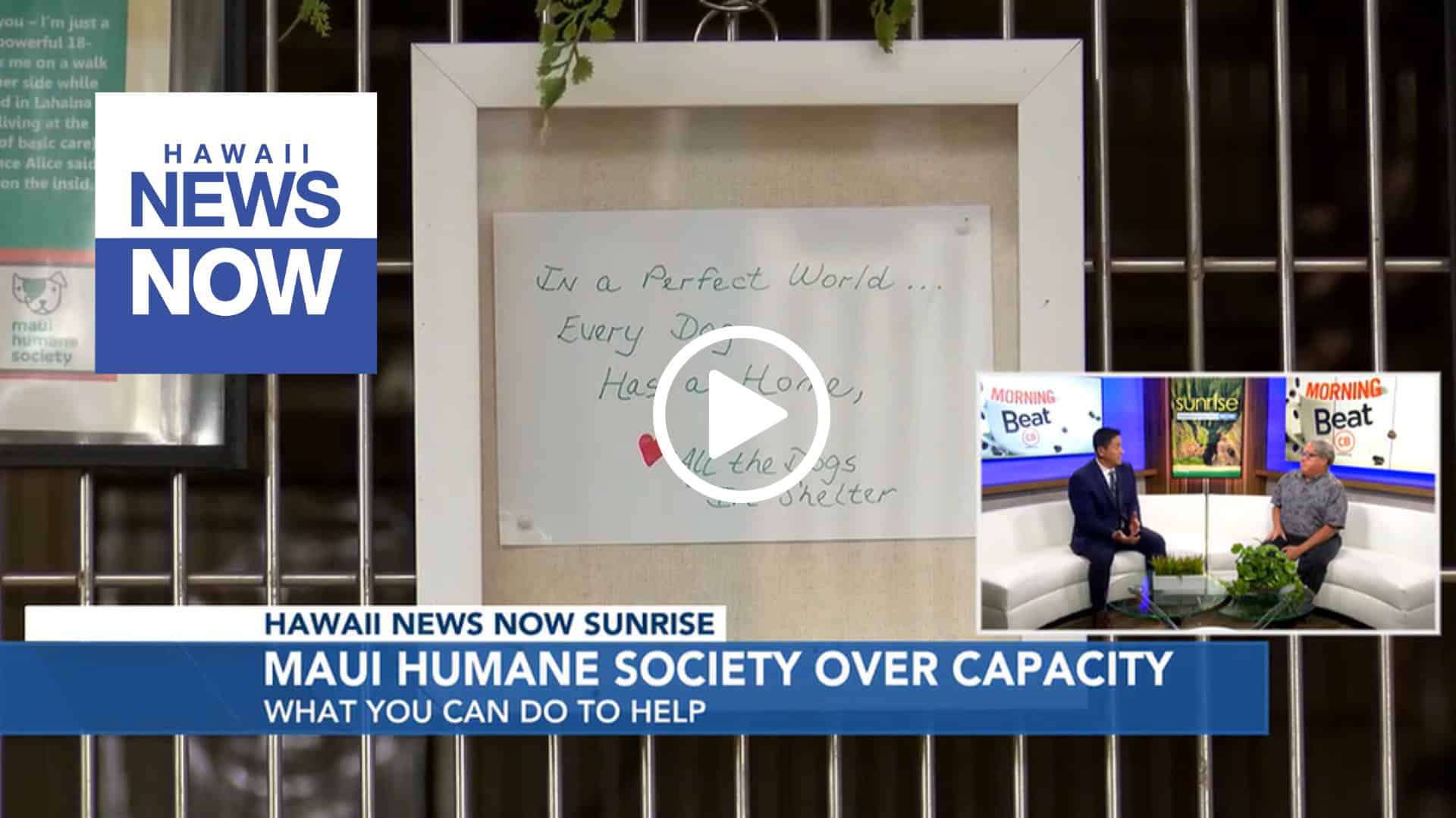 hawaii news now / civil beat video