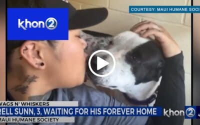 Rell Sunn is ready to steal your heart at Maui Humane Society