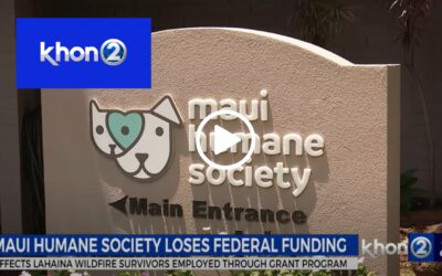 Maui Humane Society loses federal funding