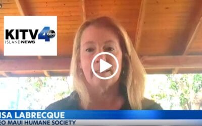 Dislocated Workers Grant Program