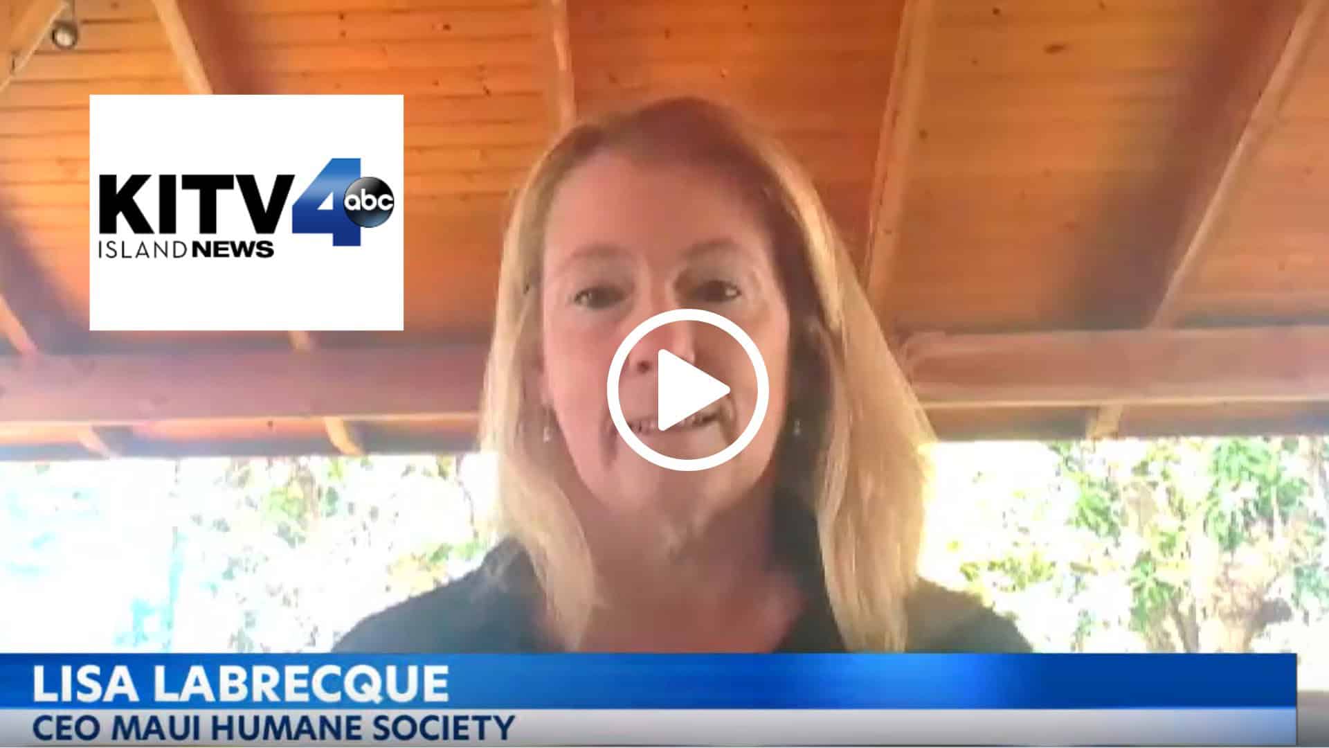 KITV 4 Island News: Dislocated Workers Grant Program