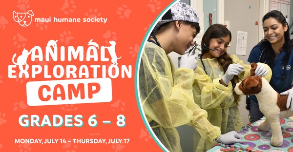 Animal Explorations (4)