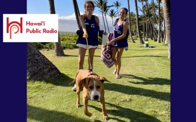 Maui Humane Society program helps dogs shine, creating a national model for success