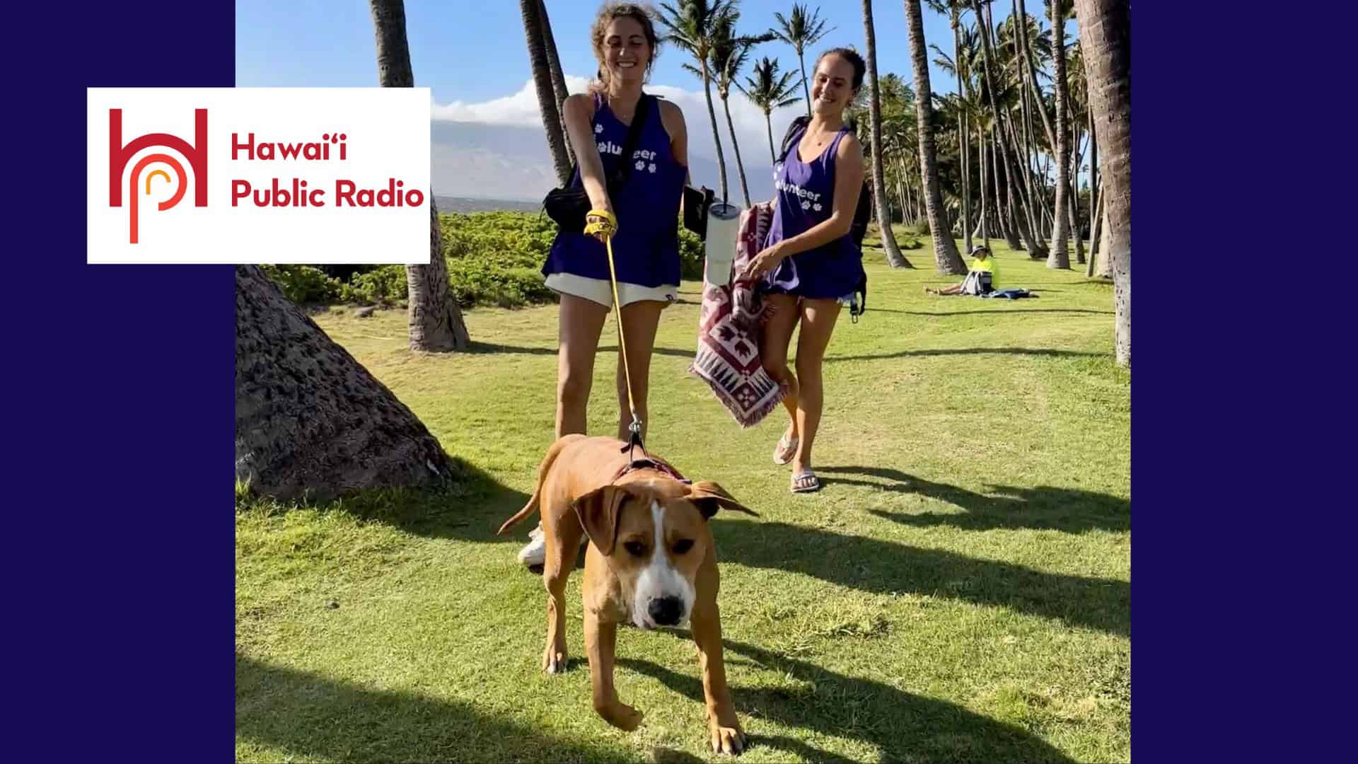 Hawaii Public Radio: Dog outing programs