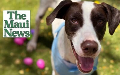 Pet of the Week: Charlie