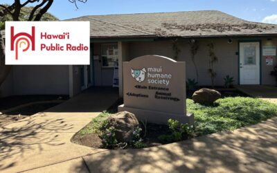 Maui Humane Society selected for national lost pet technology pilot program