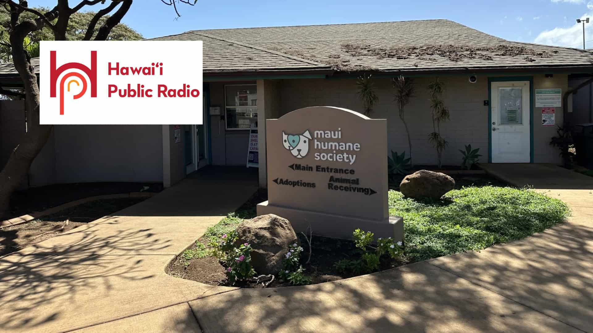 Hawaii Public Radio: national lost pet technology pilot program
