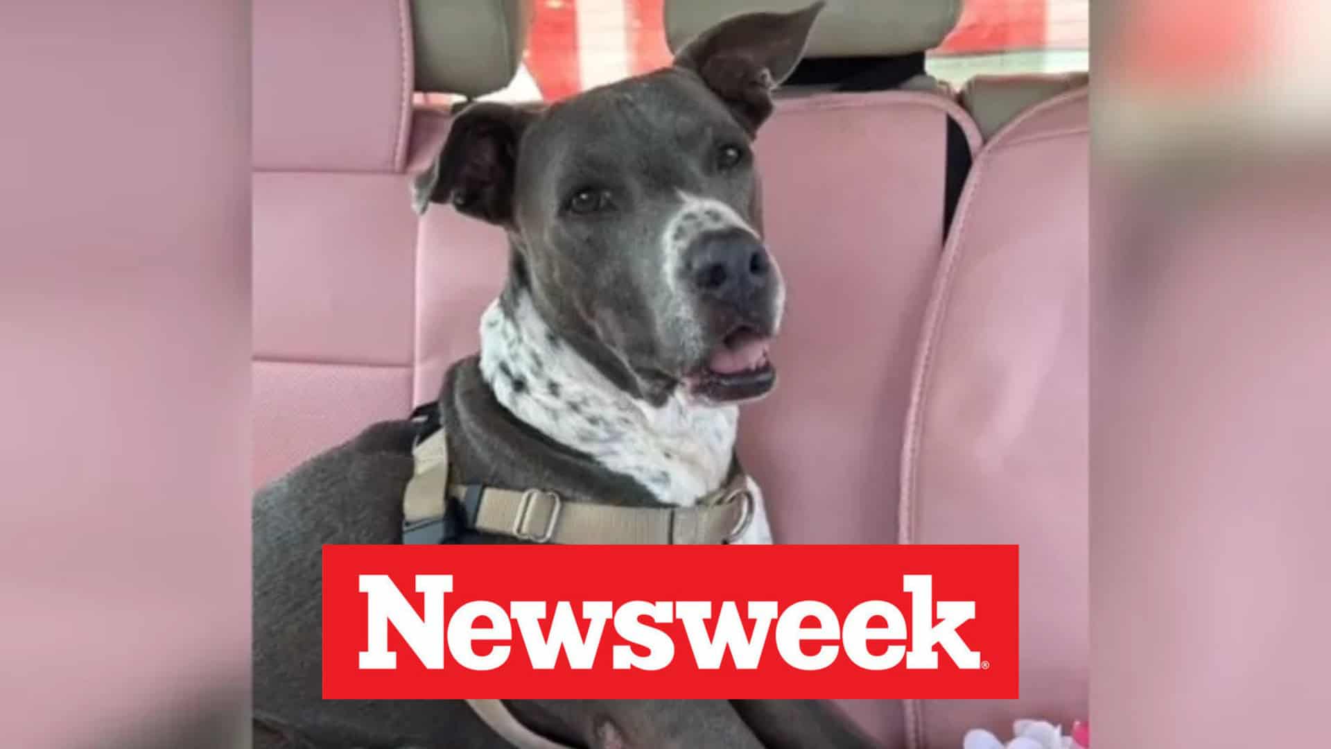 Newsweek: Princess tip taps